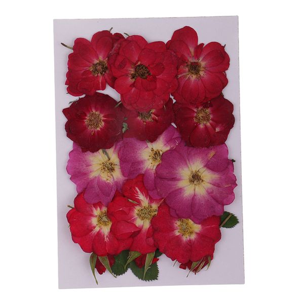 

multiple mix natural pressed dried flowers leaves diy art craft 3-4cm