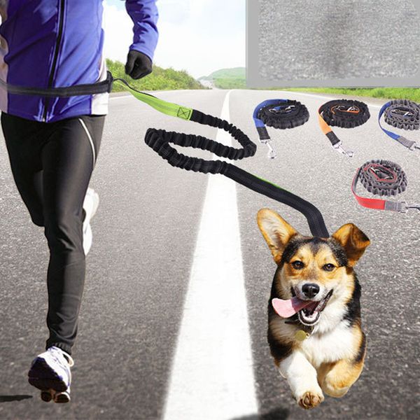 

pet dog leash running jogging puppy cat lead collar adjustable sport walking leash