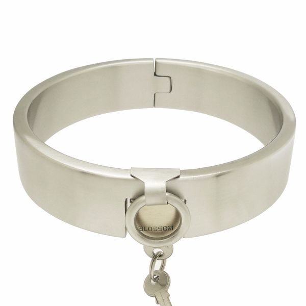 

stainless steel lockable collar fetish choker necklace, Golden;silver