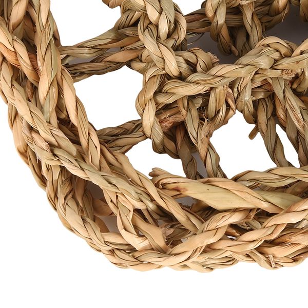 

водоросли lizard гамак качели pet lounger рептилия игрушки висячей кровать mat малые раки-отшельники geckos кровати матс pet аксессуары для