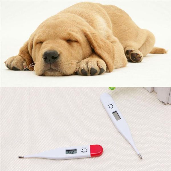 

1pc Pet Digital Medical Thermometer Instant Read Clinical Digital Temperature Detecting Thermometer For Cat Dogs (Random Color