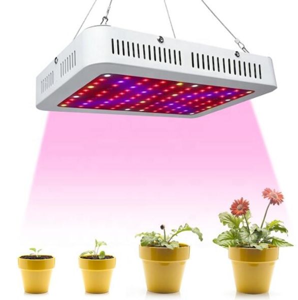 

1000w led plant lights, growth lights, plant lighting, indoor garden planting, traditional chinese medicine, tent planting users preferred