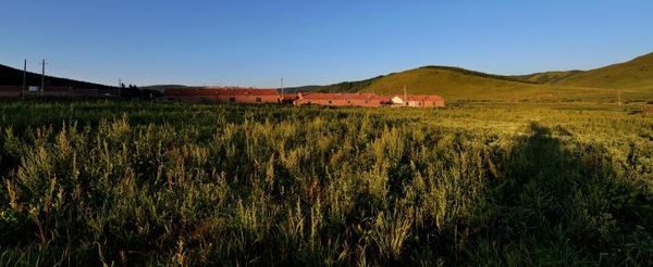 

инсценировка льюиса кэрролла «приключения алисы в стране чудес» и «зазеркалье»