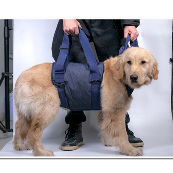 

dog hip support harness dog lift support harness for small to medium dog