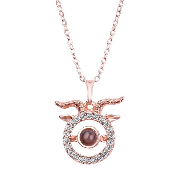 

doreenbeads 2019 hot 12 constellation ожерелье rose goldsilver 100 языков я люблю тебя проекция кулон ожерелье подвески, 1 шт, Golden;silver