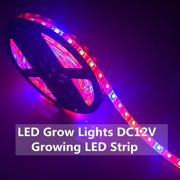 Striscia LED Grow Lights 5M Phyto Strisce luminose a spettro completo SANAN 5050 300 led Fotolampe IP65 Impermeabile per piante idroponiche in serra