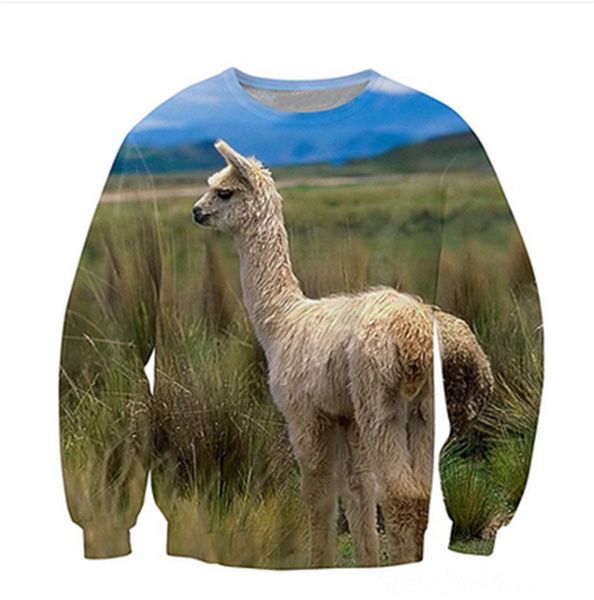

2019 new fashion head doge sweatshirt men women hoodie animal god dog/cats/lion print 3d funny casual pullovers, Black