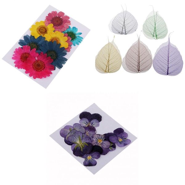 

30pcs natural real dried pressed flowers for diy scrapbooking decoration
