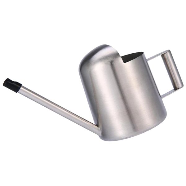 

mini indoor watering can stainles steel spout for plants flowers home