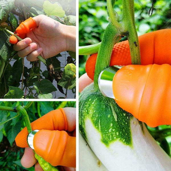 

garden thumb knife fruit vegetable easily picker plant fruit thumb blade separator picker kitchen garden tools