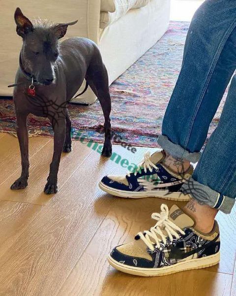 

2020 latest shoes new arrival travis scotts dunk low fashion luxury sneakers black parachute petra brown black shoes 2290, Black;red
