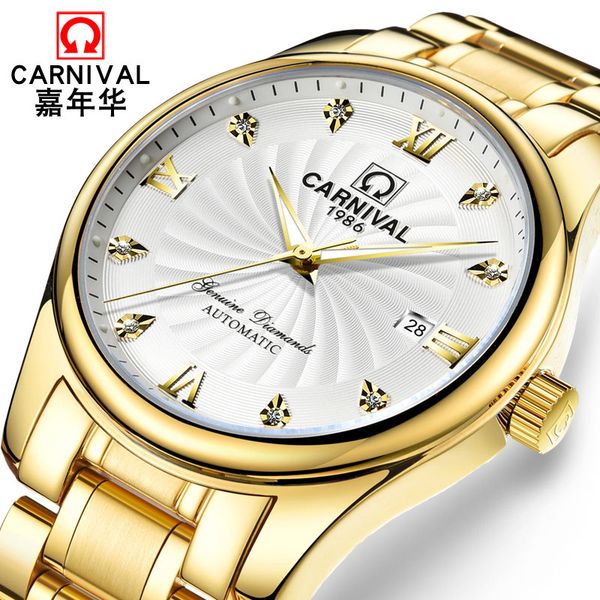 

business automatic watch men brand mechanical watch calendar luminous sapphire carnival brand new men clock with box, Slivery;brown