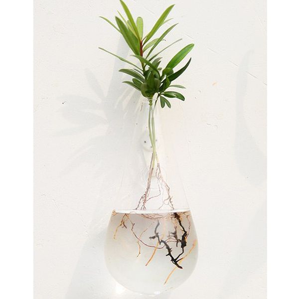 

hanging plant flower vase terrarium container hydroponic pot diy garden landscape
