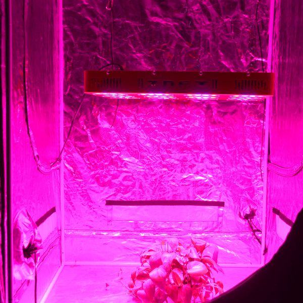 

factory direct led grow linght all-optical illumination succulent plants solar plant 400w 500w in great demand