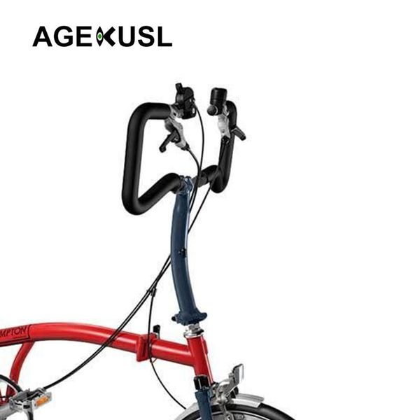 brompton p type