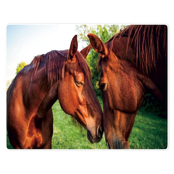 

hommomh blanket comfort warmth soft plush throw 2 brown horses snuggle together brown