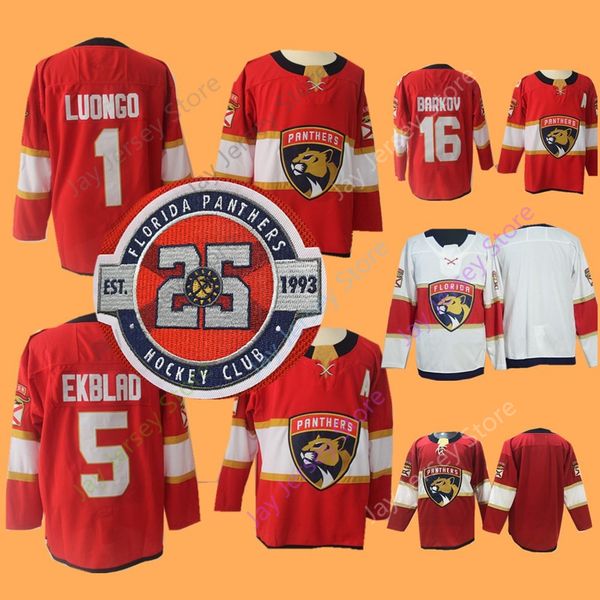 

Florida Panthers Jersey 25th Patch 1 Roberto Luongo 5 Aaron Ekblad 16 Aleksander Barkov 2018 NEW Material Ice Hockey
