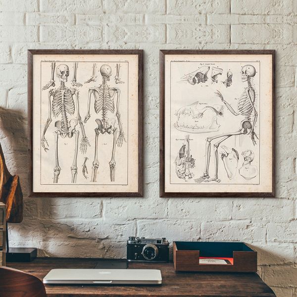 

anatomy patent vintage poster wall art print canvas painting nordic posters and prints wall pictures for living room