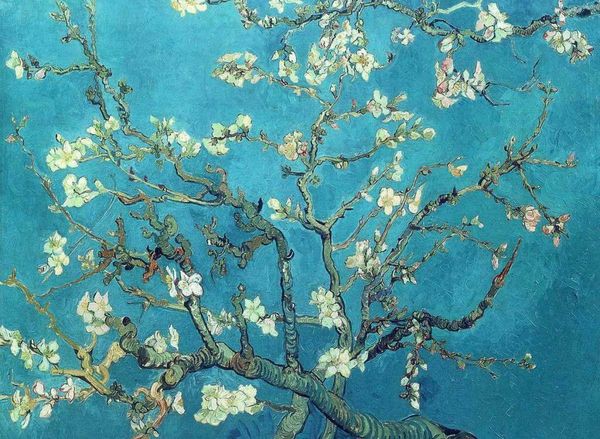 

vincent van gogh branches with almond blossom home decor handpainted &hd print oil painting on canvas wall art canvas pictures 191117