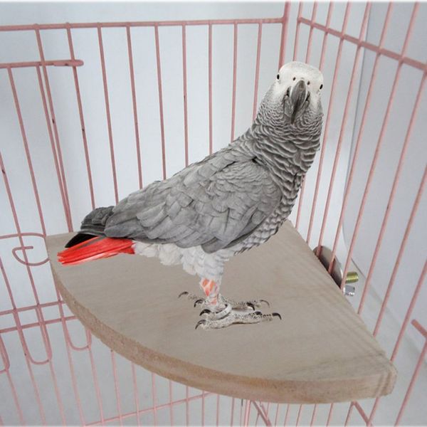 

pet wood platform stand rack toy bird parrot branch perches bird cage toys pet supplies hanging natural wood toys