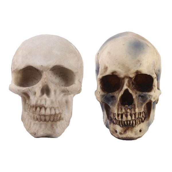 

2pcs resin skull statue skeleton head collectible decoration
