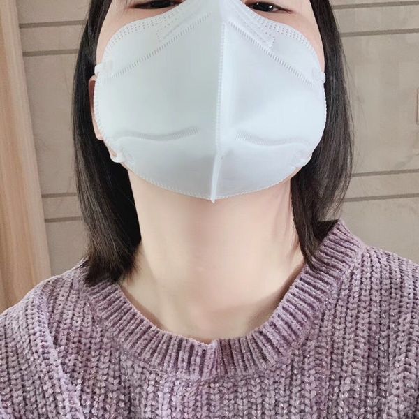 

mouth mask anti dust and flu, virus, smoke, germs, gas & allergies face mask n95 005
