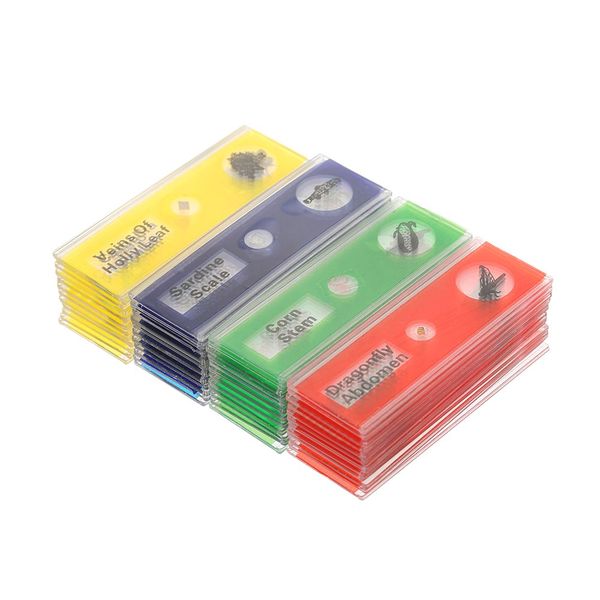 

48pcs / набор пластиковые получали микроскоп слайды животные насекомые растения образец образцы e3118
