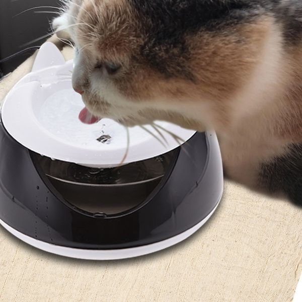 Review For Pecute Fontaine à Eau Chat Fontaine à Fleur Pour