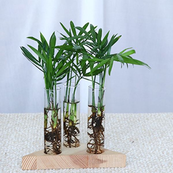 

hho-flower vase glass tubes clear glass flower pot with wooden stand for hydroponic plants test tubes container home table decor