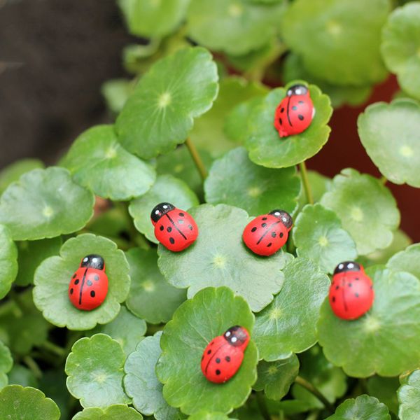 

eco-friendly colorful mini home decor kid toys diy ladybird ladybug potted decorative home decor pgraphy props garden decoration