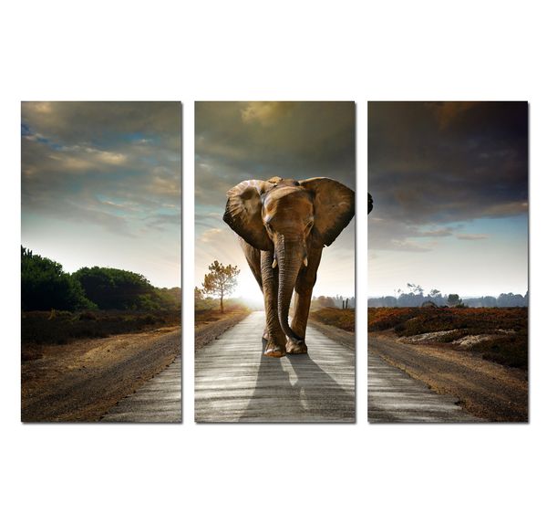 

3 panels art wall animal african elephants scenery oil painting print on canvas gift poster picture office living room home decor hyp-a1130