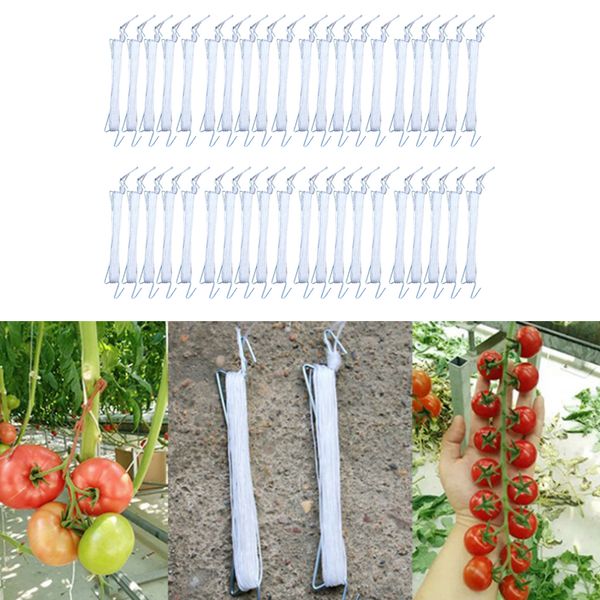 

40pieces farm tomato hooks vegetable clips plant vegetable ties supports tool