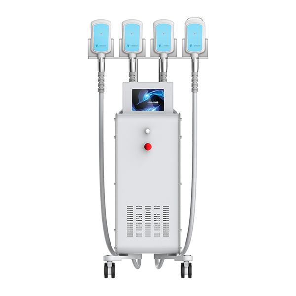 

поеѬ веа 4 кѬио Ѭђки обоѬђдование кѬаоки cryolipolysis ђное ђмена маинђ