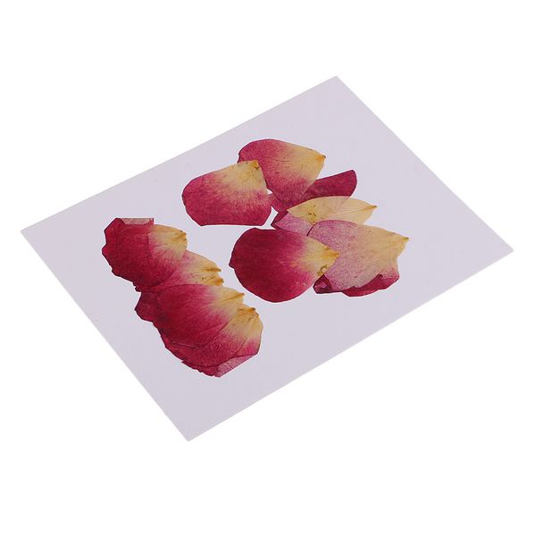 

20 pieces dried pressed flower petals flowers for making handmade bookmarks soaps candle diy decoration crafts