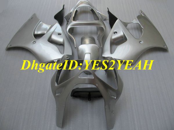 Motorrad-Verkleidungsset für KAWASAKI Ninja ZZR600 05 06 07 08 ZZR 600 2005 2008 ABS COOL Silver Verkleidungsset + Geschenke KJ01