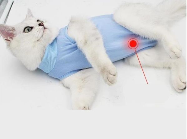 

new cat flexible surgery female cat sterilization weaning pet cat coat anti-licking after surgery protective clothing
