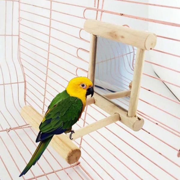 Acheter Pet Toy Mirror Fun Jouet En Bois Pour Calopsitte Perroquets Petits Oiseaux Perroquet Jouets Pour Animaux Perroquets Grimpez Accessoires De