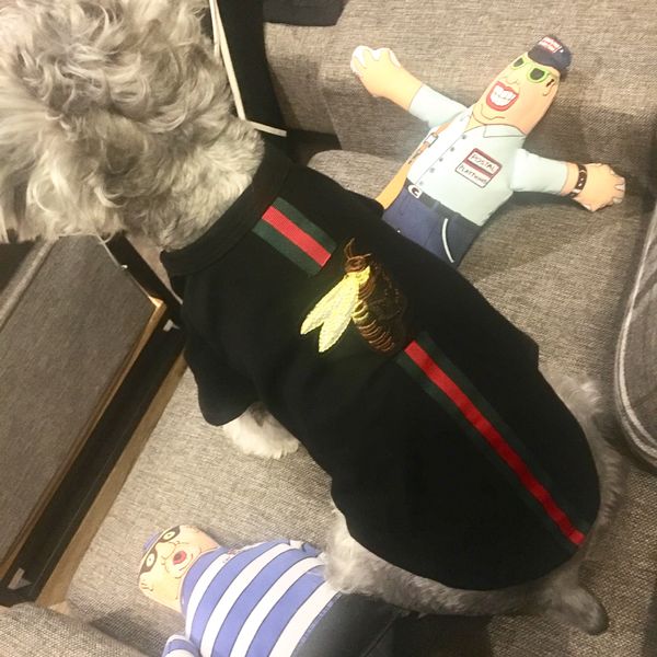 

G Letter Bulldog Puppy Dog Футболки Лето Мягкие Симпатичные Pet Cat Футболка Хлопок Тедди Рубашки Высокое Качество Бренда Логотип Печати Одежда Для Собак