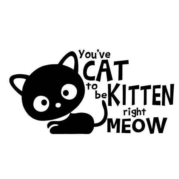 

16*8.2cm you've cat to be kitten right funny car window bumper novelty jdm drift vinyl decal sticker