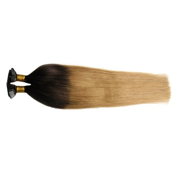 Heiße T6/27 braune und blonde Ombre malaysische geradlinige jungfräuliche Haare 100g Zwei -Ton -Ombre vorgebundene Keratin -Nagel F Tipp menschliche Haare Erweiterungen