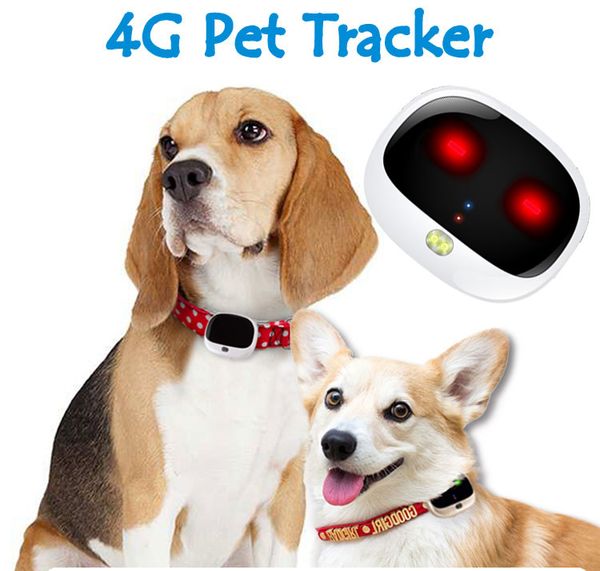 

personal-tracker mini real time tracking gps tracker for dog cat pets wifi locator lte+wcdma+gsm ip67 waterpoof