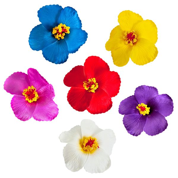 

plumeria flower hibiscus flower 6pcs hair clips hawaiian 3.6 inch for occasions wedding beach party decoration