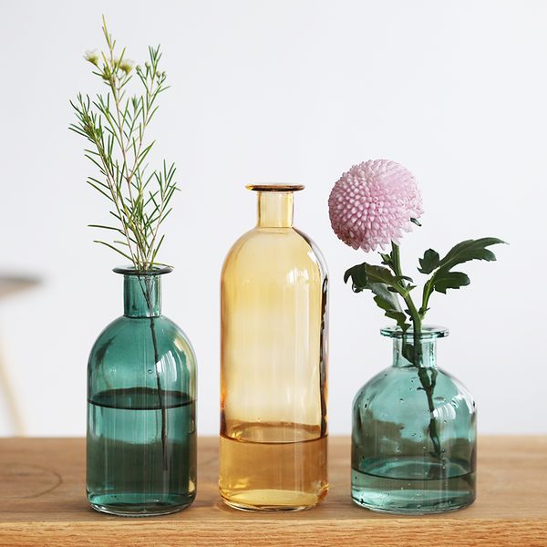 Ins Small Mouth Glass Transparent Vase Nordic Wind Dried Flower
