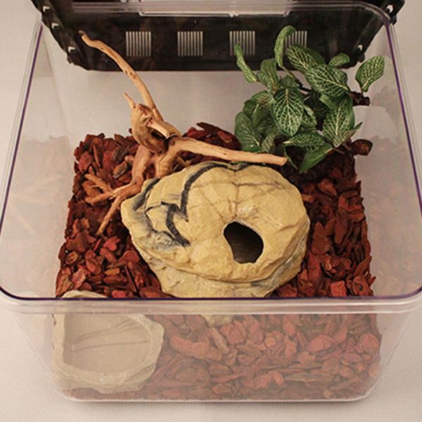 

reptile terrarium breeding incubating box spider frog box lizard snake turtle tank cylinder cage fish tank for eggs incubation
