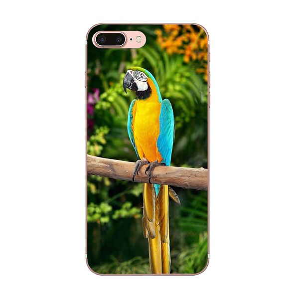 

пользовательские мягкие чехлы для apple iphone 4 4s 5 5c 5s se 6 6s 7-11 plus pro x xs max xr ара parrot zujoe