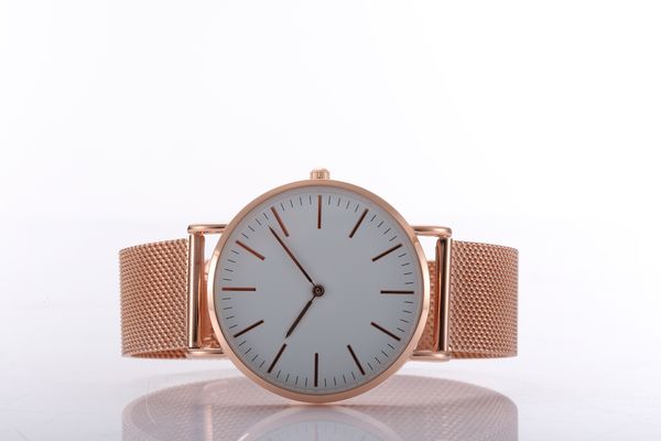 

sweden design watches thin case japan quartz movement stainless steel soft straps, Slivery;brown