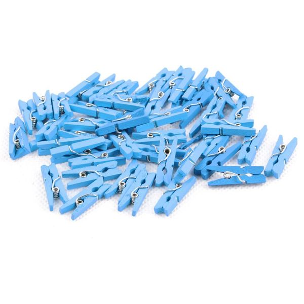 

ppyy new -100 mini wooden pegs