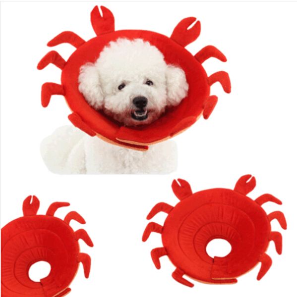 

wholesales 2019 crab recovery elizabethan collar pet anti-biting ring collars protective wound