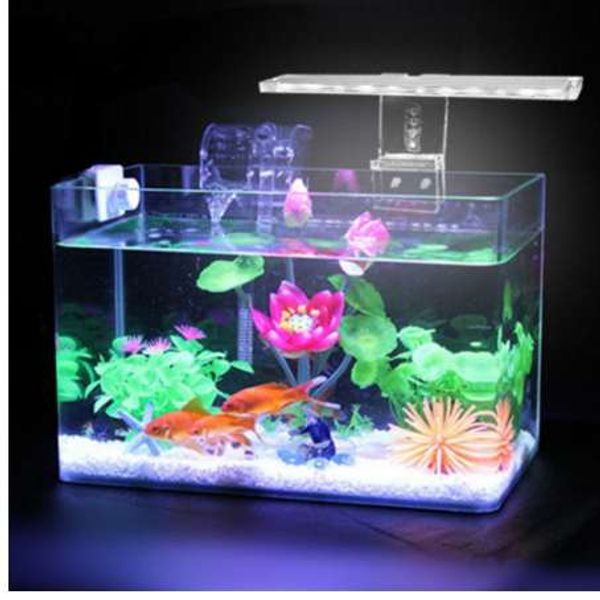 Reptile aquarium vs fish aquarium Reptile aquarium vs fish aquarium