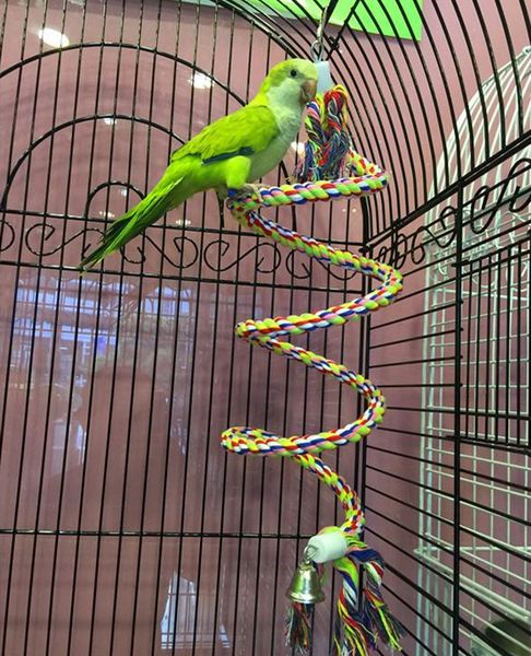 

1pcs parrot supplies cotton rope toy braided parrot chew rope perch coil bird cage cockatiel toy pet bird training accessories
